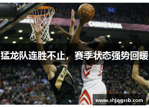 猛龙队连胜不止，赛季状态强势回暖